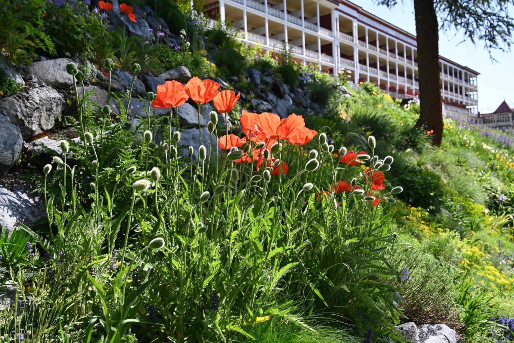 Schatzalp Hotel 다보스 외부 사진